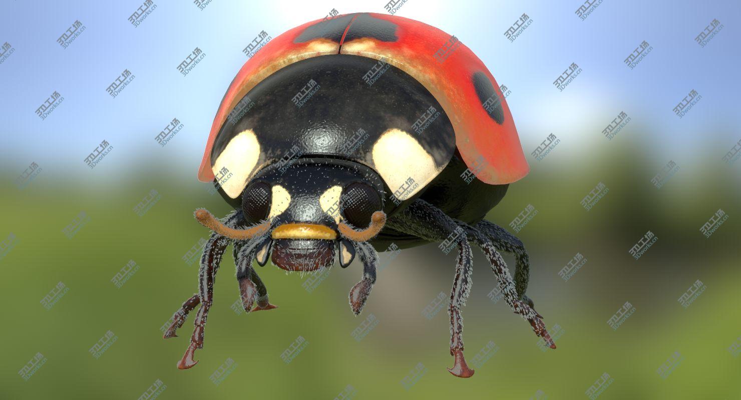 images/goods_img/2021040234/Ladybug Rigged Animated/5.jpg